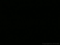 'Spending the Night With Briana Banks' screenshot nº 91