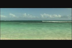 Captura de 'Anal Tropical Gonzo' nº 101