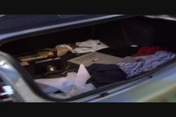 'Amateur Neighbors' screenshot nº 92