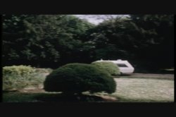 Captura de 'Young Head Nurses' nº 45