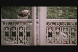 Captura de 'Young Head Nurses' nº 48