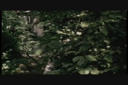 Captura de 'Young Head Nurses' nº 52