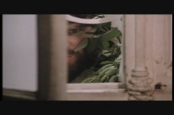 Captura de 'Young Head Nurses' nº 53