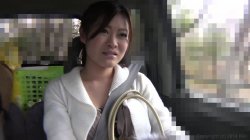 'Japan Teen Innocence 8' screenshot nº 1