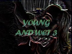 'Young And Wet Vol. 3' screenshot nº 2