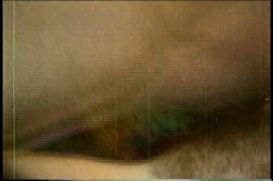 'Anal DP Blonde - A Connie Peters Collection' screenshot nº 7