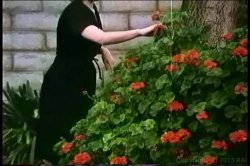 'Anal DP Blonde - A Connie Peters Collection' screenshot nº 9