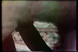 'Anal DP Blonde - A Connie Peters Collection' screenshot nº 128