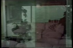 Captura de 'Brooke West Collection' nº 16