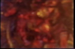 'Chris Cassidy Collection' screenshot nº 1