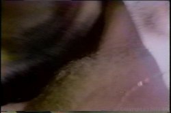 'Chris Cassidy Collection' screenshot nº 133