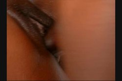 'Big Phat Apple Bottom Bootys 9' screenshot nº 47