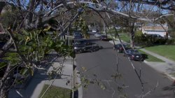 Captura de 'New Neighbors' nº 102