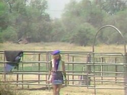 'Poonies' screenshot nº 1