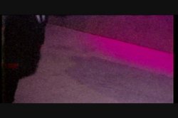 'Gangbang Allstars' screenshot nº 15