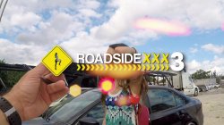 'Roadside XXX 3' screenshot nº 1
