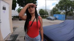 'Roadside XXX 3' screenshot nº 14