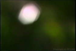 'Leg Sex Nympho' screenshot nº 52