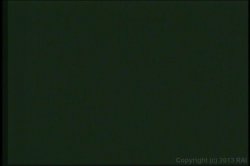 Captura de 'Busty Euro Sluts 3' nº 68