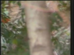'Deep Throat #4' screenshot nº 84