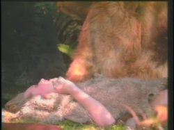 'Deep Throat #4' screenshot nº 94