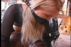 Captura de 'Rocco: Animal Trainer 2' nº 54