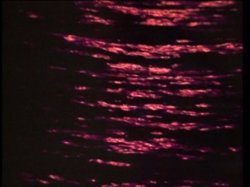 Captura de 'Candida Royalle's Rites Of Passion' nº 103