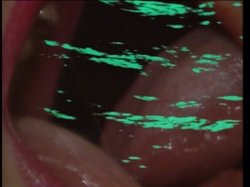 Captura de 'Candida Royalle's Rites Of Passion' nº 105