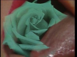Captura de 'Candida Royalle's Rites Of Passion' nº 106