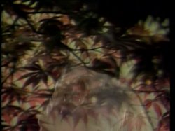Captura de 'Candida Royalle's Rites Of Passion' nº 111