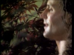 Captura de 'Candida Royalle's Rites Of Passion' nº 115
