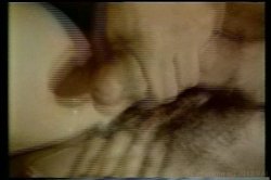 Captura de 'Janey Robbins Collection' nº 85