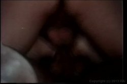 Captura de 'Janey Robbins Collection' nº 134