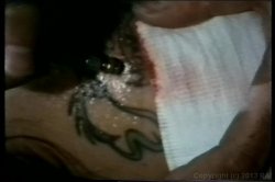 Captura de 'Janey Robbins Collection' nº 17