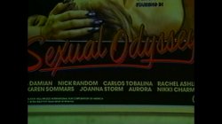 Captura de 'Sexual Odyssey' nº 1