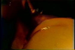 Captura de 'Kandi Barbour Collection' nº 34