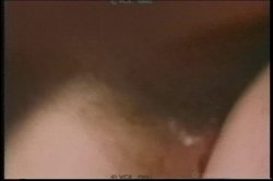 Captura de 'Kandi Barbour Collection' nº 137