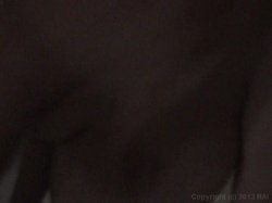 'My Neighbor's Sex Tapes 2' screenshot nº 118