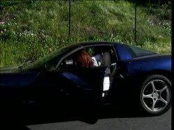 Captura de 'Naked Hollywood 13 & 14' nº 40