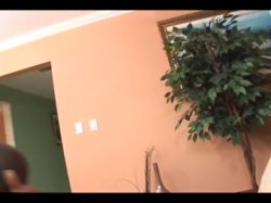 Captura de 'Hot Chocolate Cream Pie' nº 28