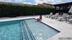 Captura de 'My Hot Asian Neighbor Looking For Outdoor Creampie Sex' nº 1