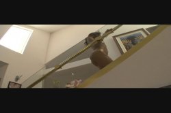 'Fantasstic Whores 3' screenshot nº 11
