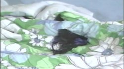 'Ginger Effect' screenshot nº 25
