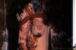 Captura de 'Sperm Sponges Vol. 2' nº 36