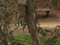 'Runaway Brat' screenshot nº 44