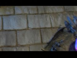 'Castle of Pleasure' screenshot nº 100