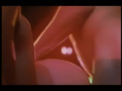 Captura de 'The Intimate Diary of Mr. Leon - Spanking Professor (French Language)' nº 68