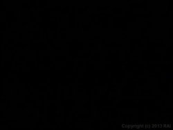 'Up and Cummers 39' screenshot nº 57