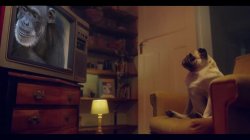 Captura de 'I Fucked Silvia Soprano Hard and Came All Over Her Perfect Ass' nº 1