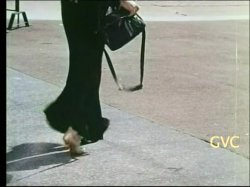 'Female Chauvinists' screenshot nº 6